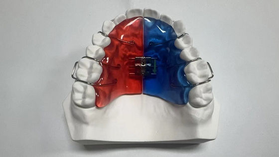 kupować 2.4 Uncje Pudełka do implantów do sterylizacji zębów Sterylizacja parowa online manufacture